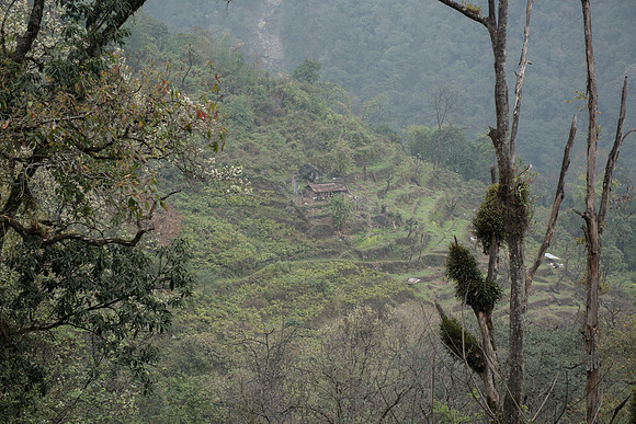 En route to Yuksom