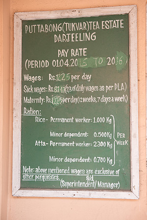 Tea pickers wage; 122.5 Rupees per day (£1.20) plus bonus and benefits