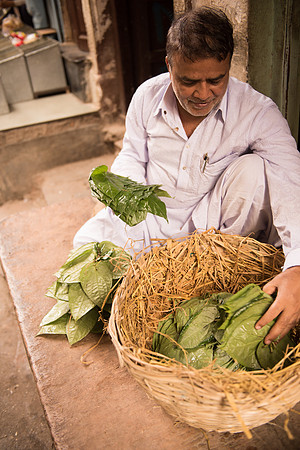 Betel leaf seller, Jodhpur