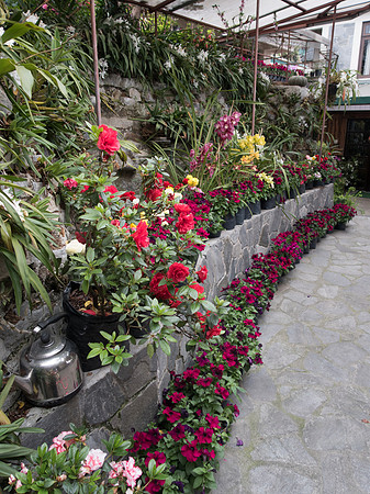 Hidden Forest Hotel, Gangtok