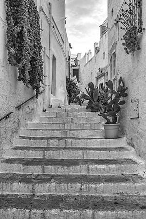 Ostuni steps bw