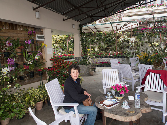 Hidden Forest Hotel, Gangtok