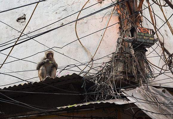Chandni Chowk, old city market, Delhi