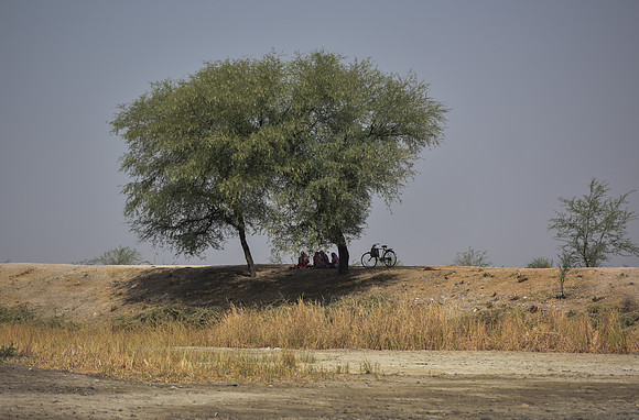 Workers sheltering, Rohet Garh, Rajasthan