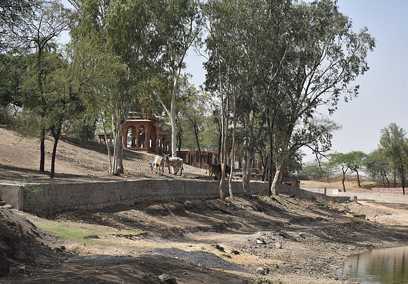Rohet Garh, Rajasthan