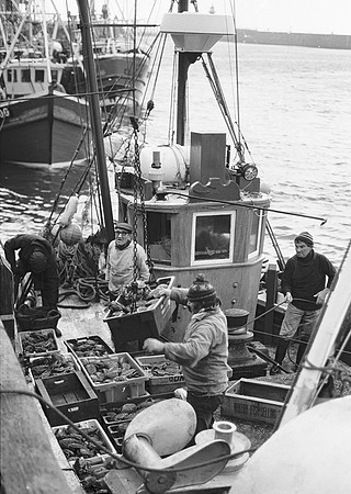 Whitby trawlermen