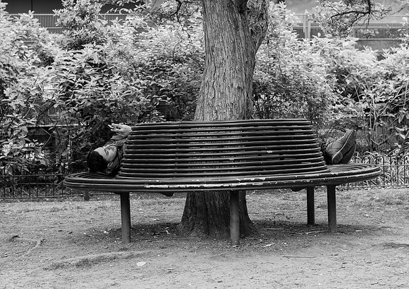 Relaxing on Fortune Street park bench