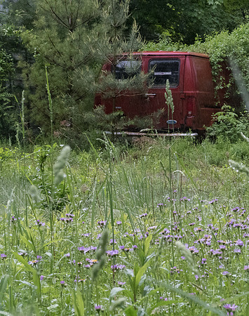 Overgrown van Woodstock