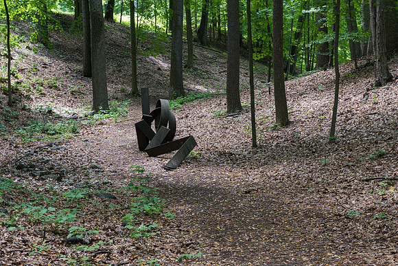 Storm King glade
