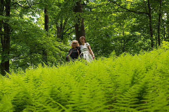 Storm King Jenni Judith ferns