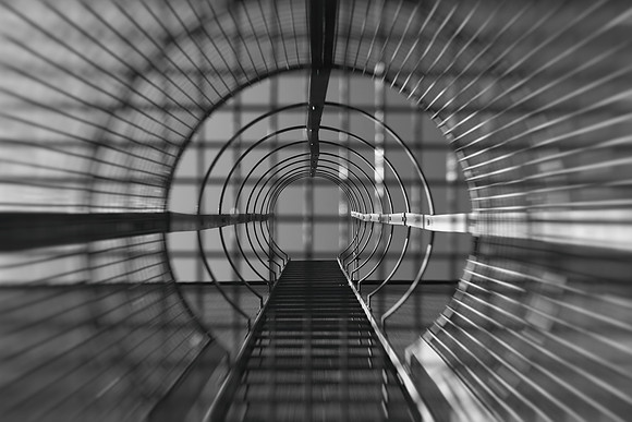 Battersea ladder bw zoom