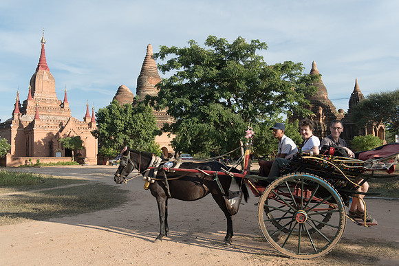 Bagan Jenni Gary horse and cart