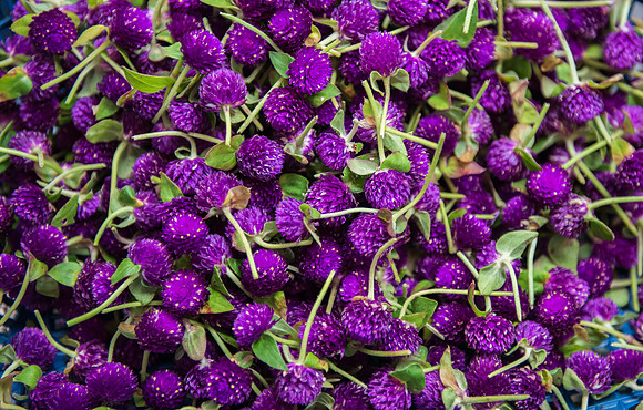 Bangkok market flowers 5