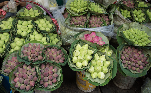 Bangkok market flowers 6