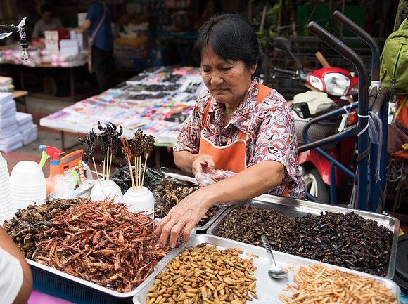 Bangkok market insects