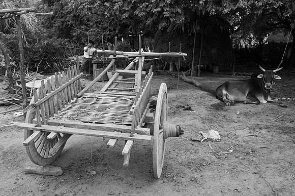 Bullock cart empty bw