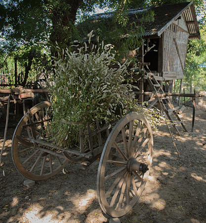 Mandalay village cart