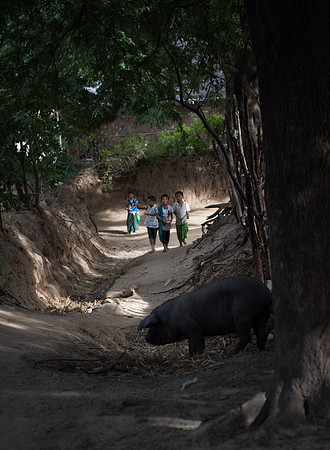 Villagers children and pig