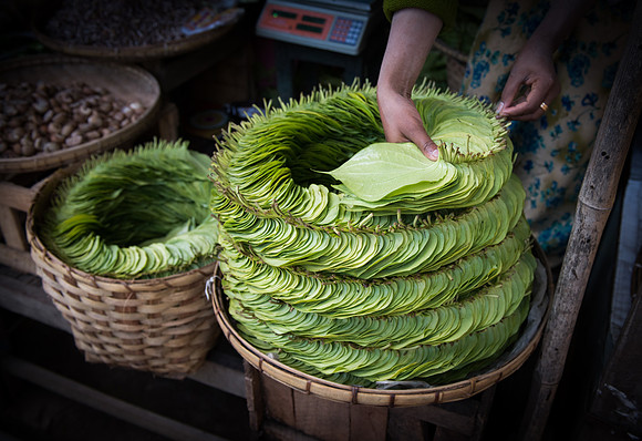 Market betel leaf.