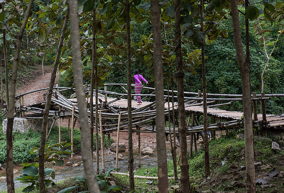 Green Hill elephant camp bamboo bridge