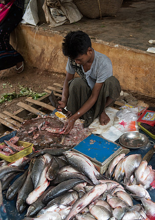 Heho market fish