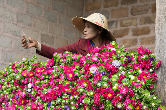 Heho market flowers