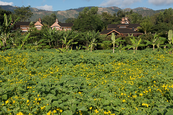 Inle lake View garden