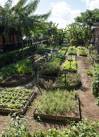 Inle Lake Heritage cooking garden