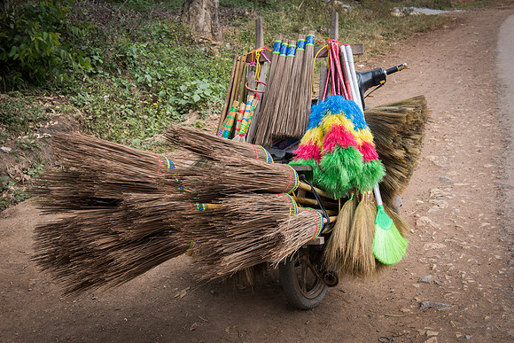 Inle Lake motorbike brushes