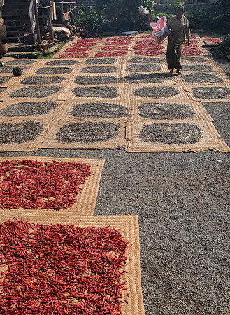 Inle Lake pumpkin seeds and chillies drying