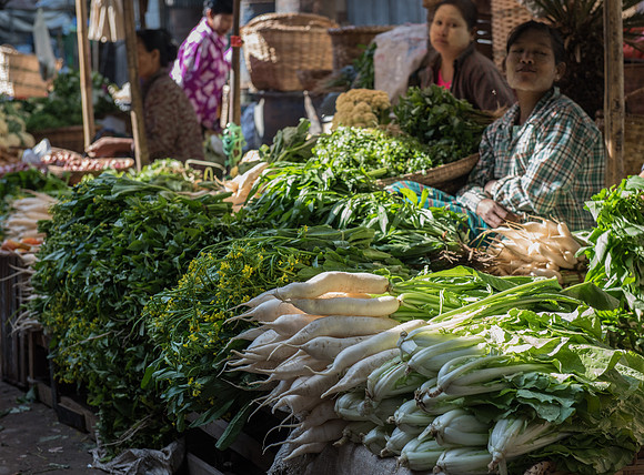 Market green veg
