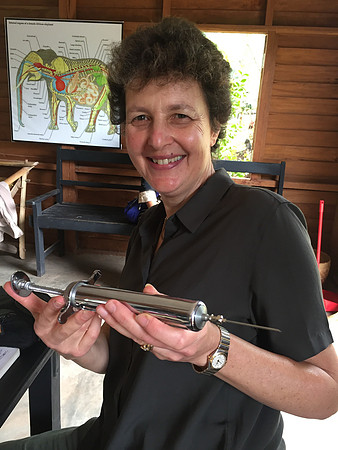 Green Hills elephant syringe Jenni