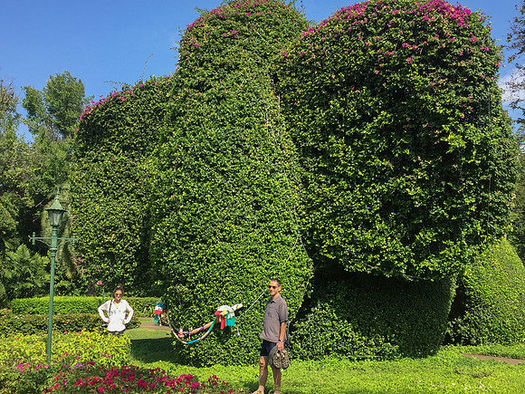 Hua Hin Centara Resort elephant topiary