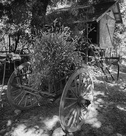 Mandalay village cart BW