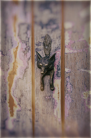 Distressed door fox