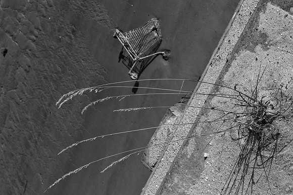 Thames trolley 2 BW