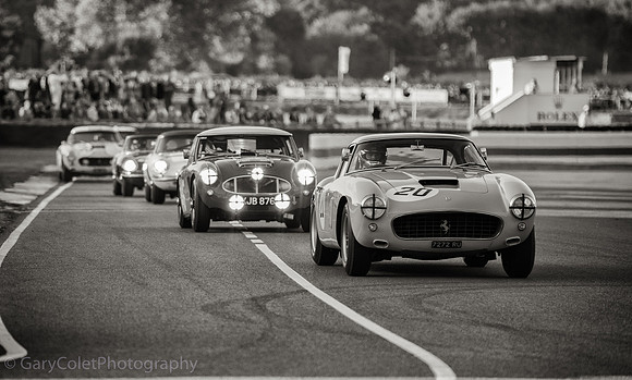 18 Goodwood Revival cars 1 bw