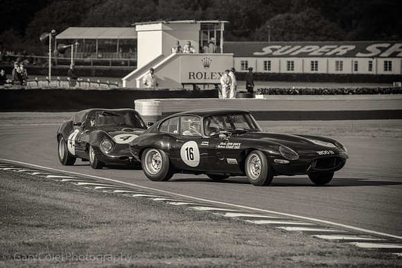 18 Goodwood Revival jag chicane bw