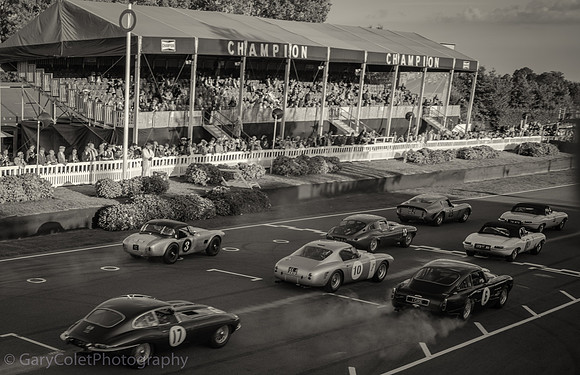 18 Goodwood Revival start grid bw
