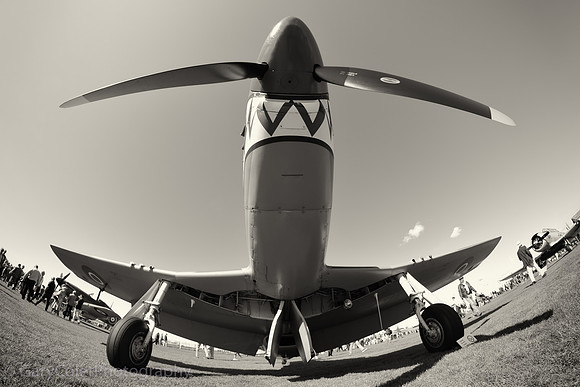 18 Sept Goodwood revival mustang bw