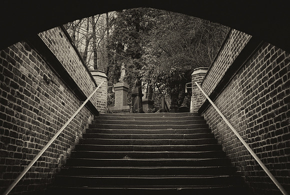 Highgate cemetery bw steps