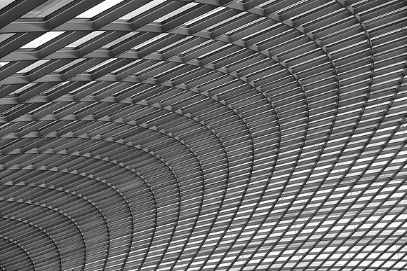 Gardens by the Bay rainforest roof bw