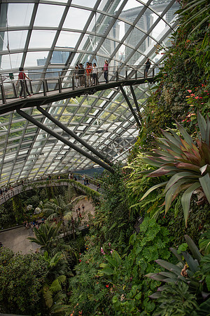 Gardens by the Bay rainforest walkway