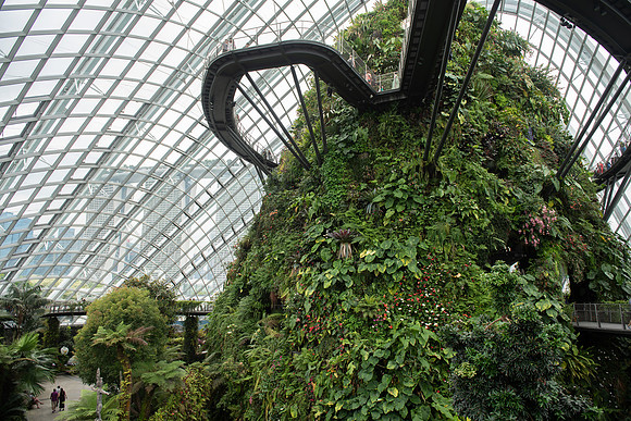 Gardens by the Bay rainforest tower