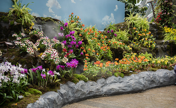 Gardens by the Bay rainforest orchids