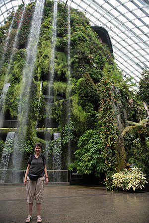 Gardens by the Bay rainforest Jenni fountain