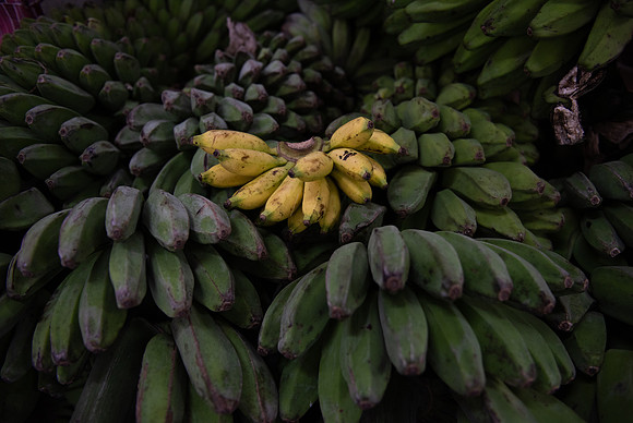 Kota Kinabalu market bananas