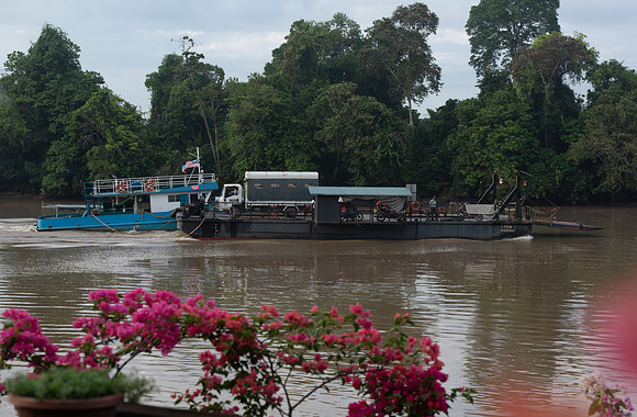 Kinabatangan River barge