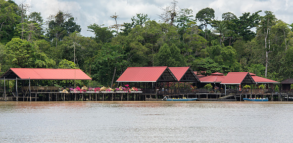 Kinabatangan Abai Jungle Lodge