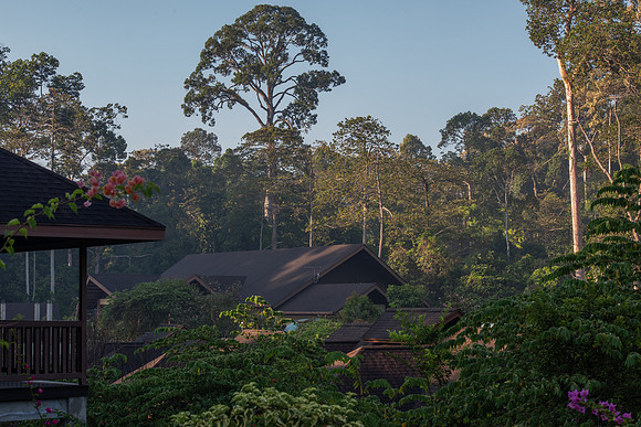 Sepilok MY Nature Resort
